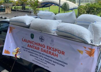Upaya Petani Kakao Kutai Timur Membuahkan Hasil