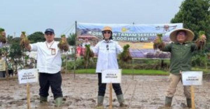 Kementan Gelar Tanam Serentak Komoditas Perkebunan di 12 Provinsi