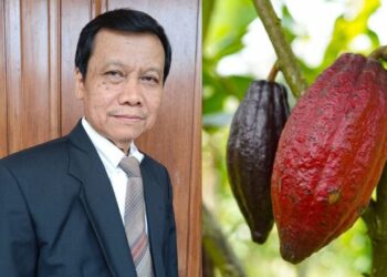Hilirisasi Kakao Dinilai Mampu Dongkrak Produksi