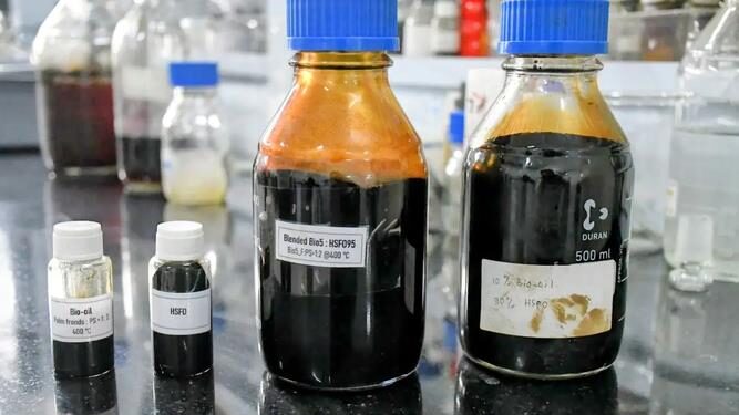 BRIN Sebut Limbah Sawit Berpotensi Jadi Bahan Bakar Kapal Alternatif