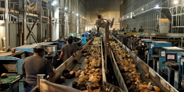 Mentrans Sebut Halmahera Utara Miliki Komoditas Unggul Selain Kelapa