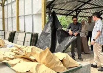 BRIN dan Pertamina Manfaatkan Sagu untuk Industri Migas