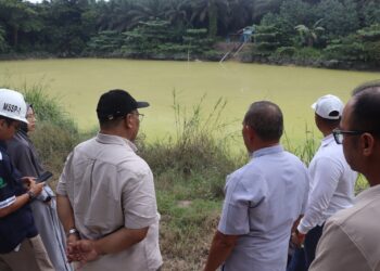 Kementan Perkuat Mitigasi untuk Lindungi Perkebunan Indonesia