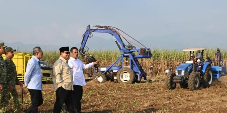 Pemprov Jatim Percepat Penguatan Sektor Pergulaan Seluas 54 Ribu Ha