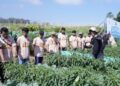 Program Bayer SATRIA Bina Regenerasi Petani Indonesia
