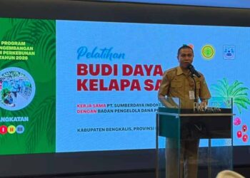 BPDP, Ditjenbun dan PT SIB Gelar Pelatihan Budidaya Sawit Pekebun Bengkalis Riau