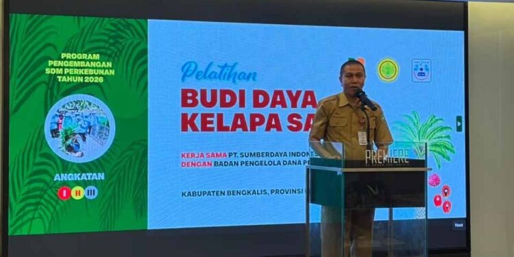 BPDP, Ditjenbun dan PT SIB Gelar Pelatihan Budidaya Sawit Pekebun Bengkalis Riau