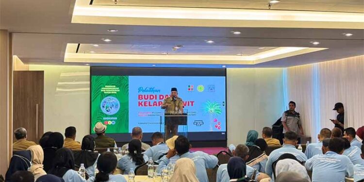 Dorong Produktivitas Sawit, BPDP,  Ditjenbun dan PT SIB Gelar Pelatihan Pekebun Bengkalis Riau