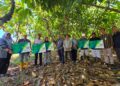 BPJS Ketenagakerjaan Perluas Jaminan Sosial ke Petani Kakao