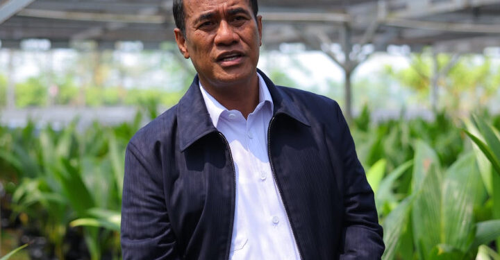 Kementan Siapkan Benih Gratis untuk 870 Ribu Hektare Perkebunan