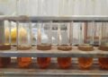 BRIN Kembangkan Pemanfaatan Iradiasi Gamma untuk Produksi Biodiesel
