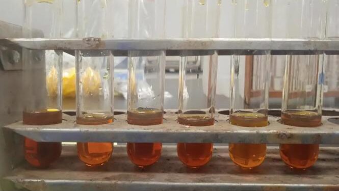 BRIN Kembangkan Pemanfaatan Iradiasi Gamma untuk Produksi Biodiesel