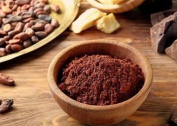 Produk Cokelat Bubuk dan Karbon Aktif Indonesia Siap Jajaki Pasar Timur Tengah