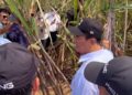 Peremajaan dan Perluasan Tebu di Tulang Bawang Dipercepat
