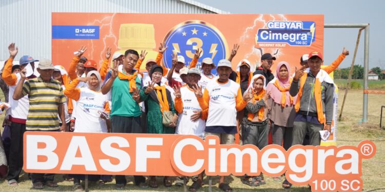 BASF Cimegra Bantu Petani Bawang Kendalikan Hama Utama