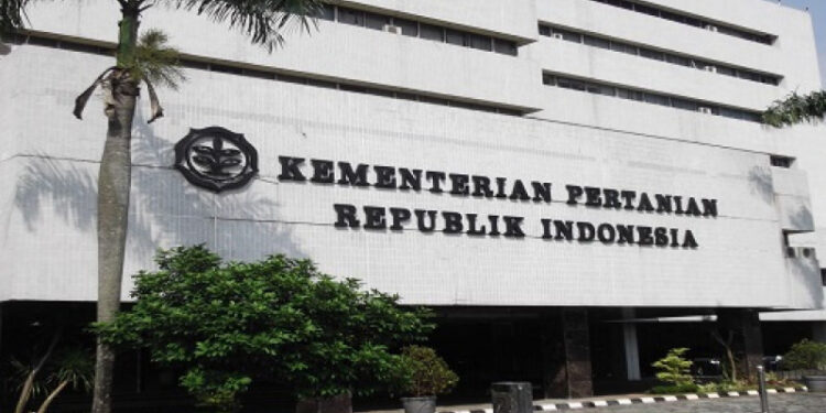 Kementan Perkuat Antisipasi Kekeringan untuk Jaga Produktivitas Perkebunan