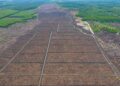 WALHI Nilai Menteri ATR/BPN Gagal Terkait Karhutla di Areal HGU