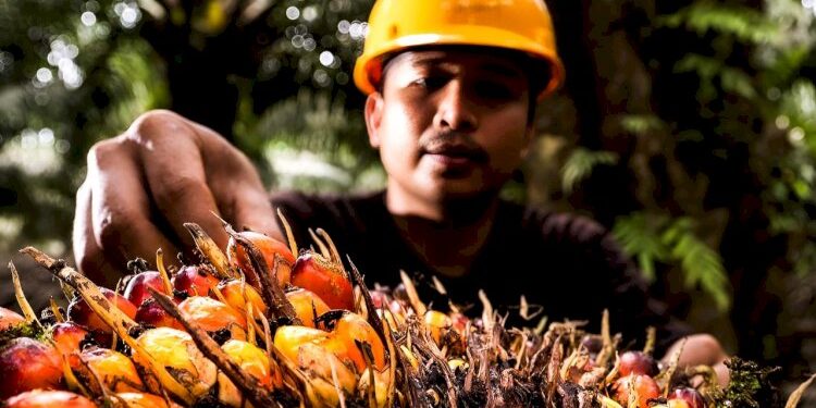 BRIN Dorong Penguatan Diversifikasi Produk Sawit Berbasis Riset