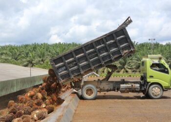 DSNG Catat Pertumbuhan Pada Kuartal I 2025