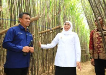 Program KUR Khusus Tebu Jadi Solusi buat Petani
