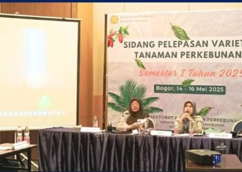 Ini Dia Enam Varietas Unggul Tanaman Perkebunan yang Baru Dilepas