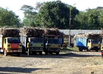 PG Assembagoes Optimistis Capai Target Giling 500.000 Ton Tahun Ini