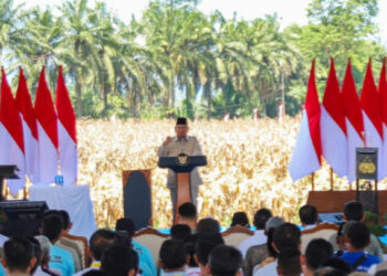 Presiden Prabowo Meyakini Indonesia Jadi Lumbung Pangan Dunia