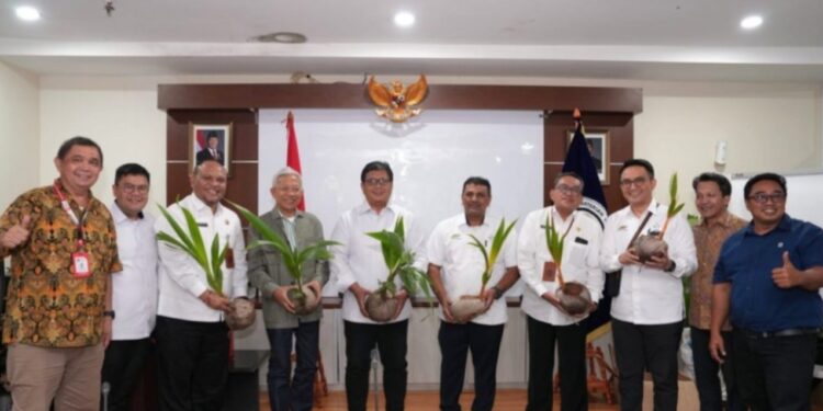 Maluku Utara Bakal Jadi Percontohan Pengembangan Kelapa Genjah
