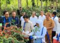 Pemerintah Upayakan Sediakan Benih Kopi Unggul Guna Tingkatkan Produktivitas