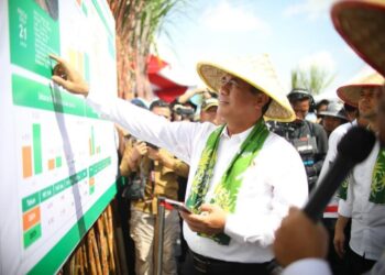 Pemerintah akan Buka Lahan 500 Ribu Ha untuk Tebu