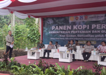 Kementan Dorong Kopi Yogya Menuju Pasar Global