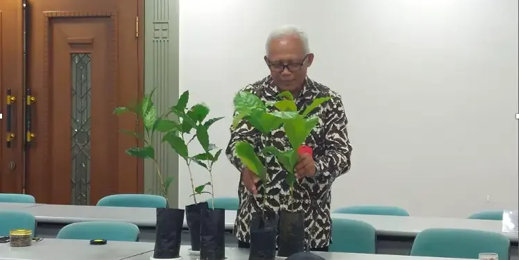 BRIN Inovasi Varietas Kopi Arabika Tana Toraja