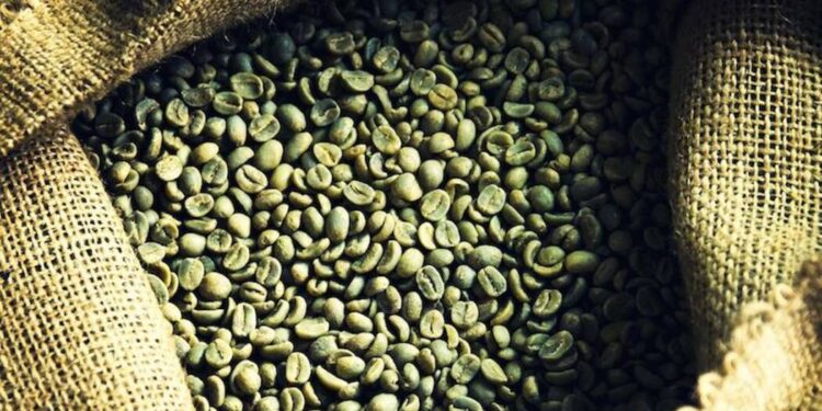BRIN Bersama Mitra Riset Kopi yang Aman Dikonsumsi