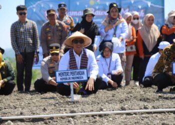 Mentan Canangkan Kabupaten Majene Sentra Baru Bawang Merah Nasional