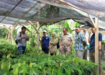 BPDP Gelar Koordinasi Program Peremajaan Kakao Rakyat (PAKAR)