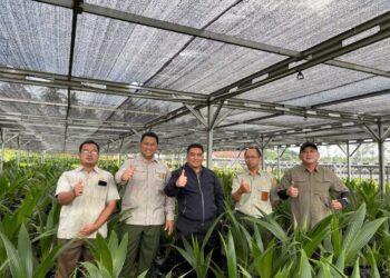 Nursery Batang Pastikan Ketersedian Benih Kelapa Bermutu