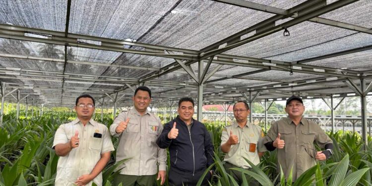 Nursery Batang Pastikan Ketersedian Benih Kelapa Bermutu