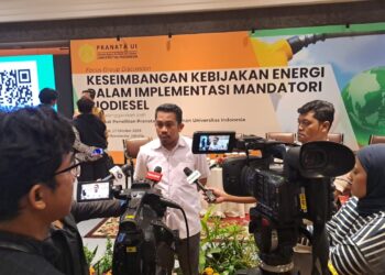 Kenaikan Biodiesel B50 Dinilai Makin Menekan Harga Sawit Petani