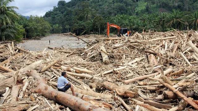 Pemerintah Didesak Cabut Perizinan Perusahaan Penyebab Banjir Sumatera