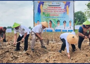 Akselerasi Tanam Tebu 2025 di Blora untuk Wujudkan Swasembada Gula