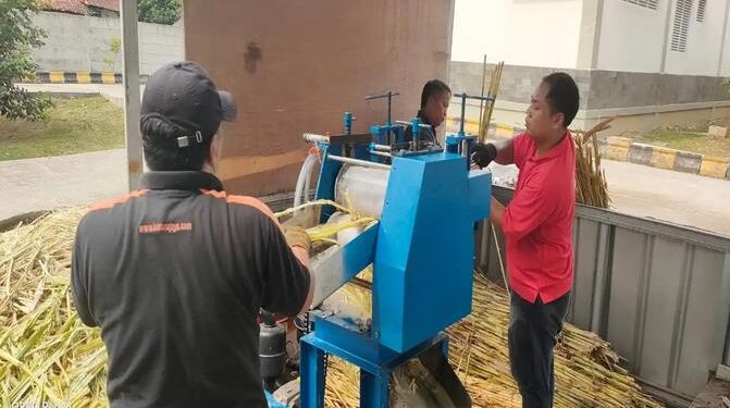 BRIN Kembangkan Teknologi Pengolahan Gula Semut dari Sorgum