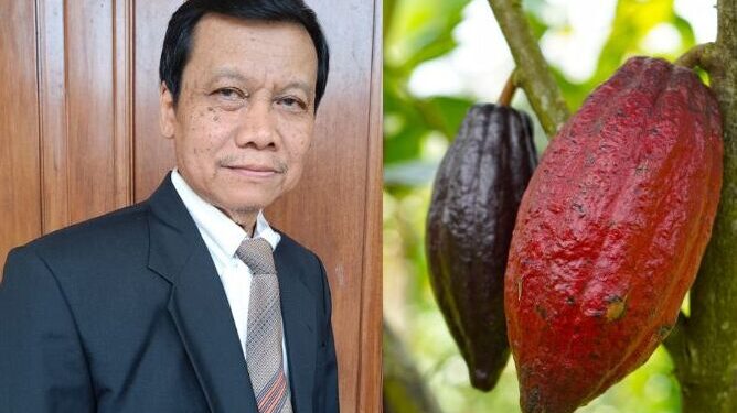 Hilirisasi Kakao Dinilai Mampu Dongkrak Produksi