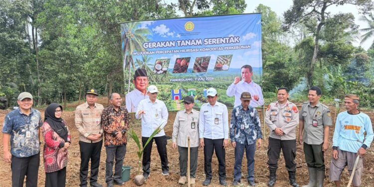 Kementan Tanam Kelapa 10 Hektare di Pandeglang
