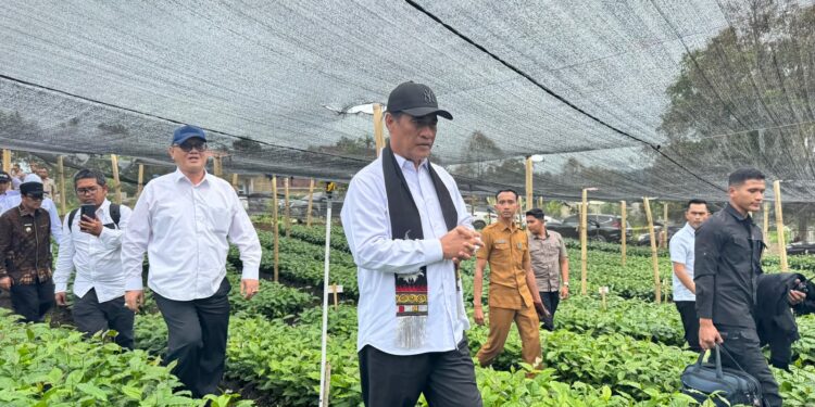 Mentan Amran Dorong Nilai Ekspor Kopi Tembus Rp100 Triliun