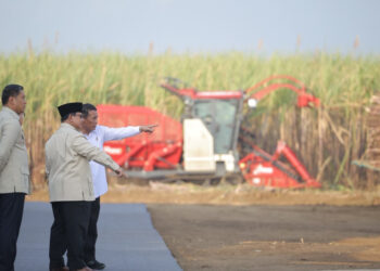 Presiden Prabowo Targetkan Swasembada Gula dalam Dua Tahun