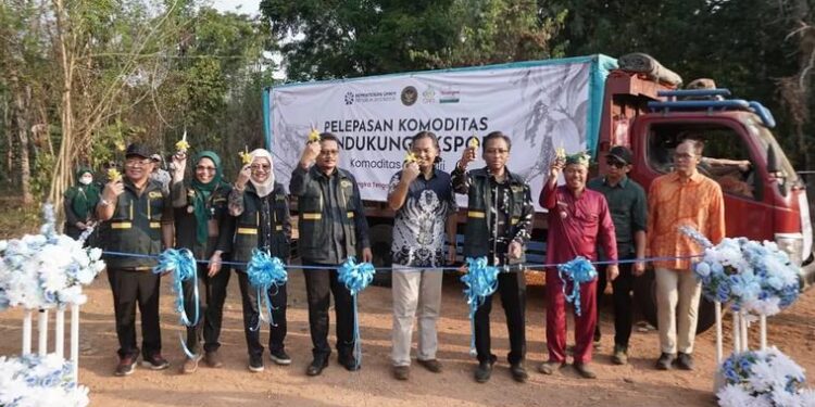 Kementerian UMKM Luncurkan Holding UMKM Perkebunan Perkuat Hulu Hilir